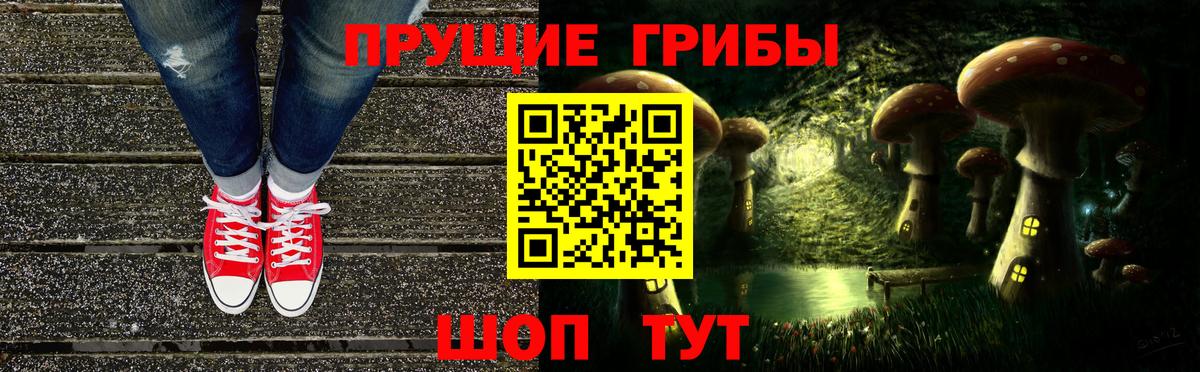 Псилоцибиновые грибы Magic Shrooms  Вход с VPN  Сальск 